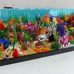 a display case filled with lots of different types of sea animals and corals on top of sand