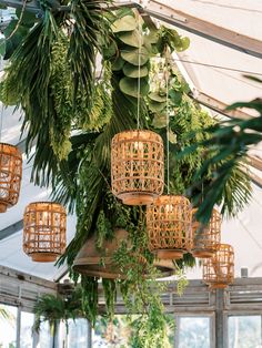 some lights hanging from the ceiling in a building with plants and greenery on it