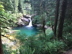 a small waterfall in the middle of a forest