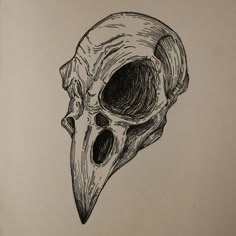 a black and white drawing of a bird's skull