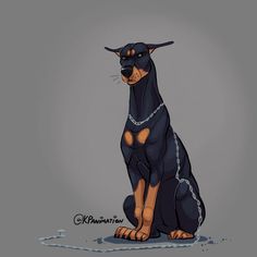 a black and brown dog sitting on top of a chain