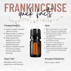 Diy Perfumes, Essential Oil Spray Recipes, Essential Oil Spray, Essential Oil Plants, Essential Oil Diffuser Recipes