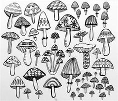 a bunch of mushrooms that are drawn in black and white ink on a piece of paper