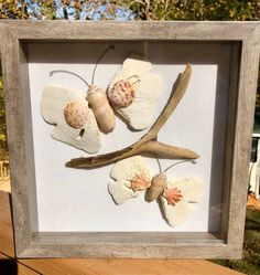 a shadow frame with shells and leaves in it on a wooden table next to a tree