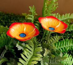 two red and yellow flowers with green leaves