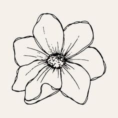 a black and white drawing of a flower on a light background, with the petals slightly open