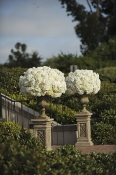 two vases filled with white flowers sitting on top of each other next to bushes