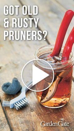 a jar filled with pickles and other things next to a toothbrush on top of a wooden table