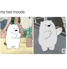 two polar bears standing next to each other with caption that reads, my two moods