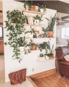 a living room filled with furniture and lots of plants