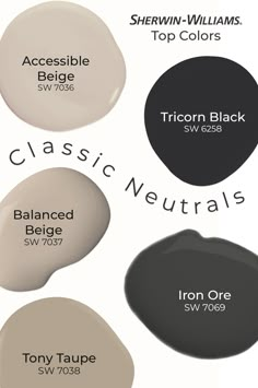 the different shades of paint for walls and ceiling in various colors, including beige, white, black, gray, and tan