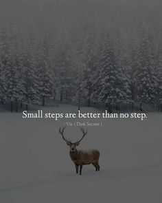 a deer standing in the middle of a snow covered forest with a quote about small steps are better than no step