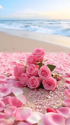 some pink roses are laying on the sand at the beach with water in the background