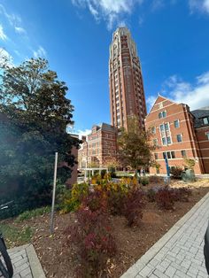 the building is very tall and has many windows