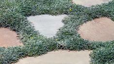 the grass has been cut in to shape a heart