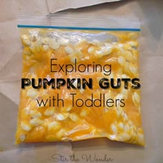 a bag of pumpkin guts with the words pumpkin guts explanation in black lettering on it