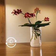 a glass vase with flowers in it sitting on a table