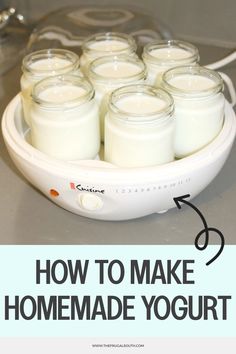 Seven jars of homemade yogurt in a yogurt maker. Text: "How to Make Homemade Yogurt". Homemade Flavored Yogurt Recipes, How To Make Vanilla Yogurt, Homemade Yogurt Recipes Yogurt Maker, How To Make Your Own Yogurt, Crockpot Yogurt Recipes, Home Made Greek Yogurt, Yogurt Maker Machine, Make Yogurt Homemade, Making Yogurt Homemade