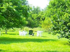 three chairs and two tables in the middle of a grassy area with trees on both sides