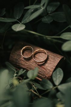 two gold wedding rings sitting on top of a piece of wood surrounded by greenery