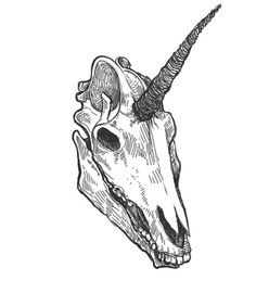 an animal's skull with horns and long horns is shown in this black and white drawing