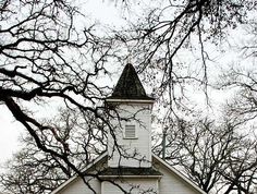 an old white church with a steeple surrounded by trees and branches in the foreground