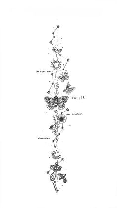 a line drawing with flowers and butterflies on it