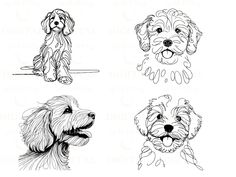 four dogs are shown in black and white