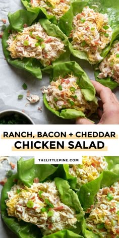 ranch bacon and cheddar chicken salad in lettuce leaves