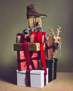 a dog is standing in front of presents that are stacked on top of each other