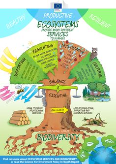 a tree with different types of plants and animals around it, labeled in several languages