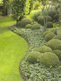 a garden with lots of green grass and bushes