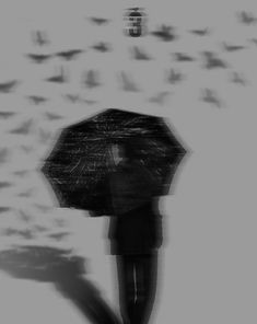 a person holding an umbrella in front of a flock of birds on the ground,