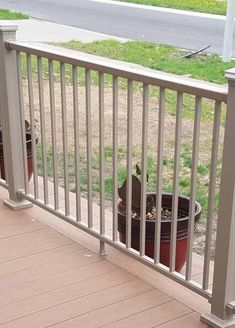 there is a potted plant on the porch next to a fence and railing rail