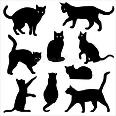 the silhouettes of cats are black and white