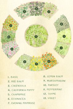 an old poster with flowers in the center and numbers on it's sides, all labeled in different colors