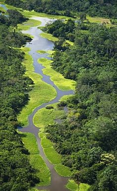 an aerial view of a river surrounded by lush green trees