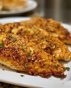 two pieces of chicken on a white plate with parmesan cheese and green garnish