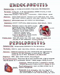 the endocarits and pediatrists are shown in this handout