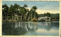 an old postcard shows a boat on the water in front of palm trees and a white house