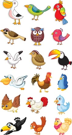 many different types of birds on a white background