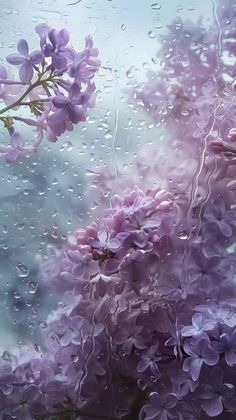 purple flowers are seen through the raindrops on a window