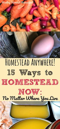 there are many different types of food on the table with text overlay that reads, 15 ways to homestead now