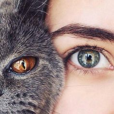 a close up of a cat and a person's face with their eyes open