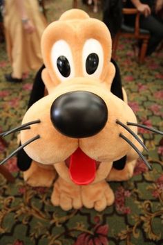 a close up of a dog mascot with its tongue out