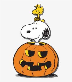 a cartoon dog sitting on top of a pumpkin