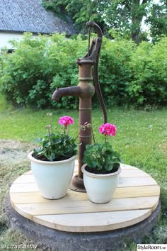 two potted plants are sitting on a wooden stand with a faucet in the background