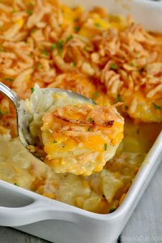 a spoon full of potato casserole with cheese and parmesan on top