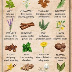 Herbs And What They Are Good For, Tea For Allergies, Fruit Magic, Herbs And Their Uses, Herbal Knowledge, Feeling Sluggish, Magickal Herbs, Witch Herbs