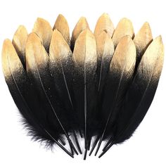 several black and gold feathers are arranged together